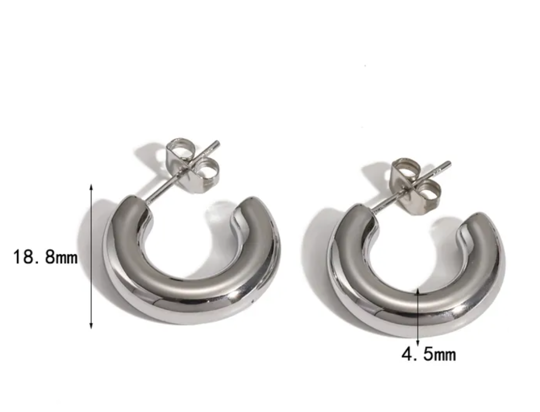 Nia Earrings ND