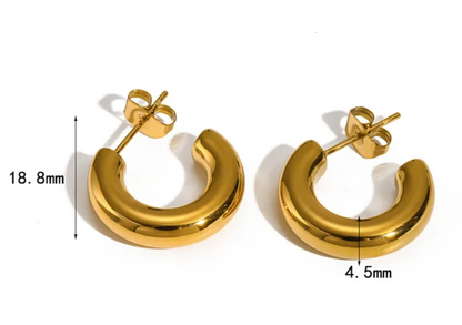 Nia Earrings ND