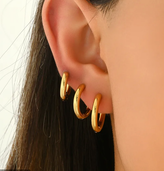 Aspen Earrings ND